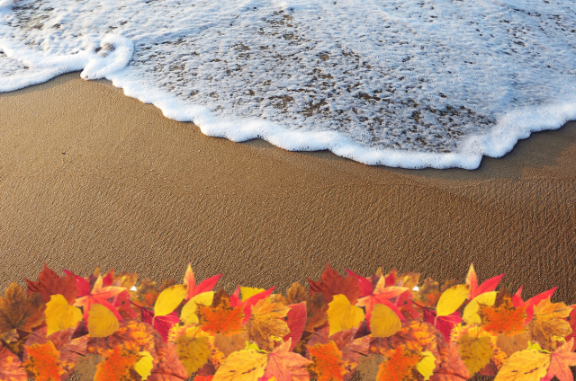 jesienny wypad nad morze